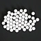 PTFE Teflon Plastic Balls